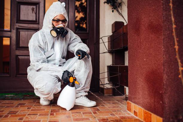 Reliable Ant Control contractor in Hightstown, NJ by Show Me Pest Control